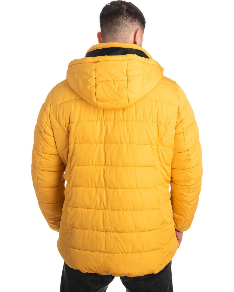 Ανδρικό Επώνυμο Μπουφάν - Z434